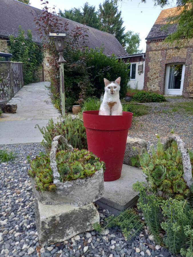 Chez Noelle Bed and Breakfast Illiers-Combray Exterior foto