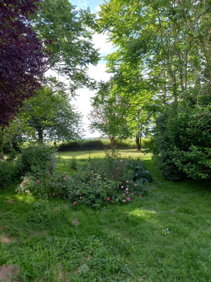 Chez Noelle Bed and Breakfast Illiers-Combray Exterior foto