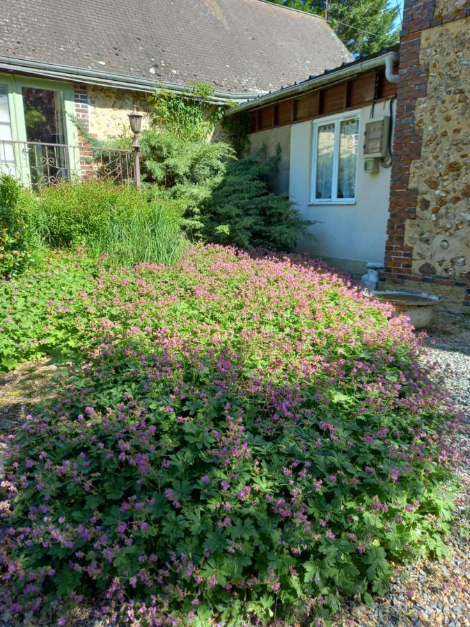 Chez Noelle Bed and Breakfast Illiers-Combray Exterior foto